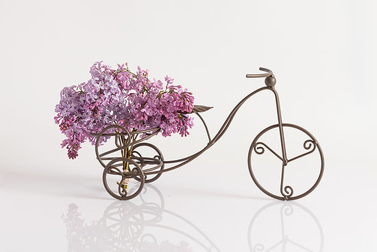 Bike with Flowers 2