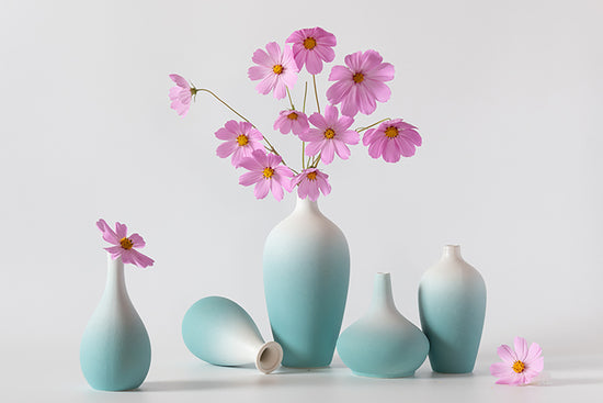 Cherry Blossom in Vase