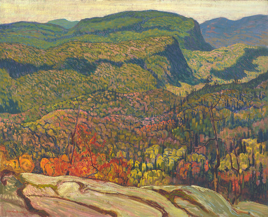 Forest Wilderness, 1921