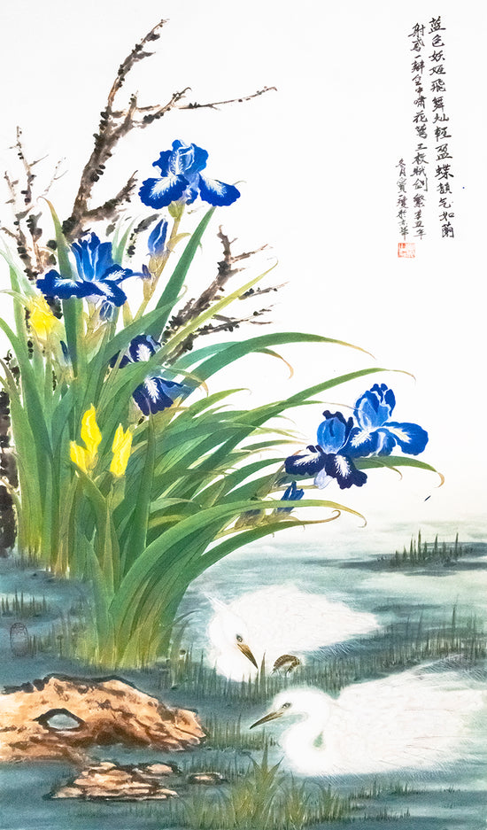 白鹭鸢尾蝴蝶兰 Egret with Garden Iris